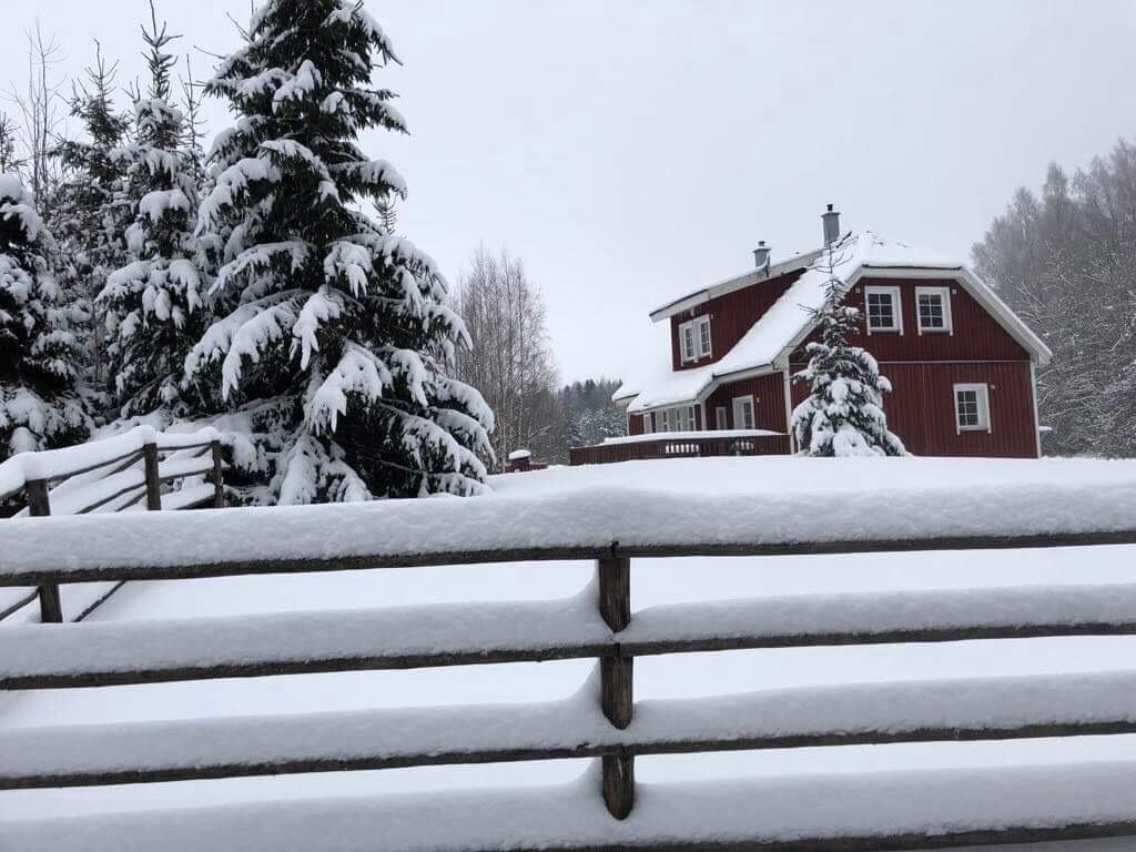 Hotel Aasa Puhkemaja à Otepää Extérieur photo